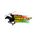 Pune Warriors India
